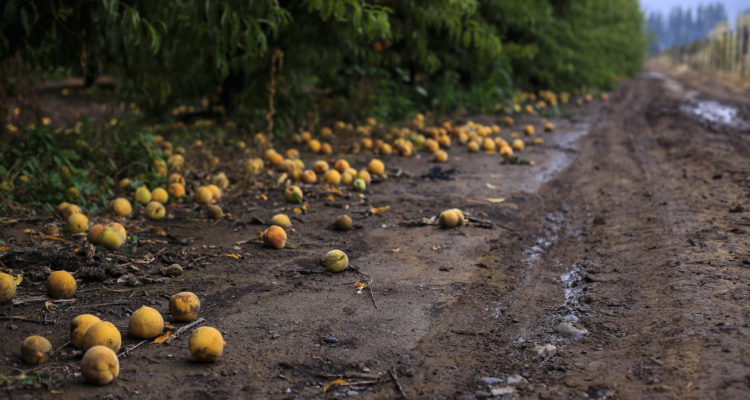 Víctor Pérez | Agencia UNO
