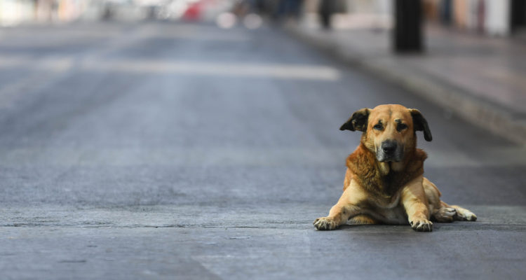 CONTEXTO | Camilo Alfaro | Agencia UNO