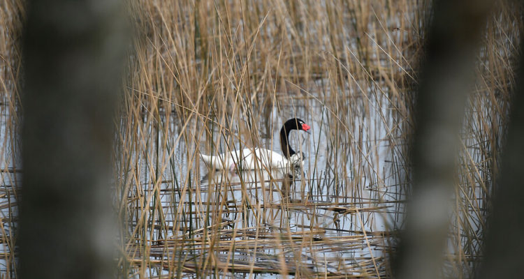 CONTEXTO | Miguel Ángel Bustos | Agencia UNO