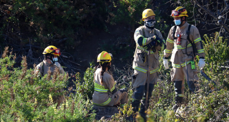 Camilo Sanhueza | Agencia UNO