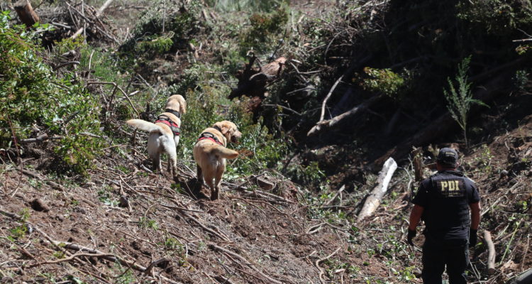 Rodrigo Guajardo | Agencia UNO