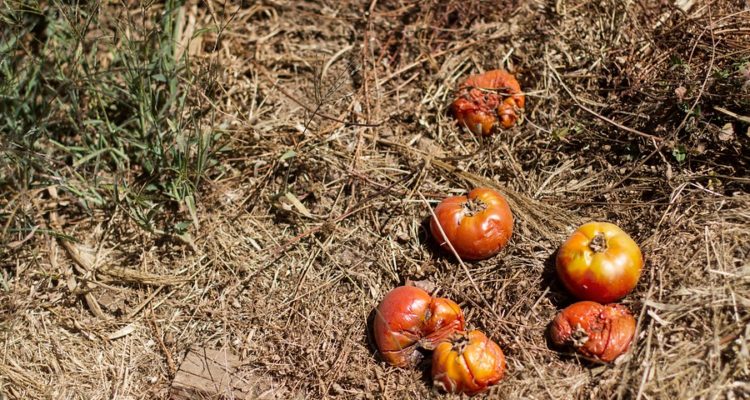 CONTEXTO | David Cortés | Agencia UNO