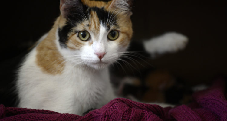 CONTEXTO | Agencia UNO