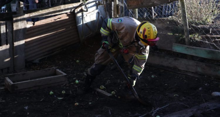 Búsqueda de Tomás | Agencia Uno
