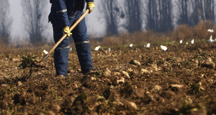 CONTEXTO | Juan Gonzalo Guerrero | Agencia UNO