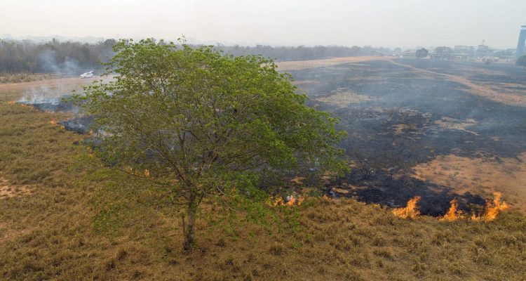 Rogerio Florentino | EFE