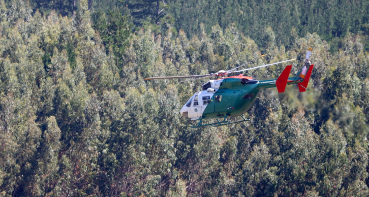 Búsqueda de Tomás | Agencia Uno