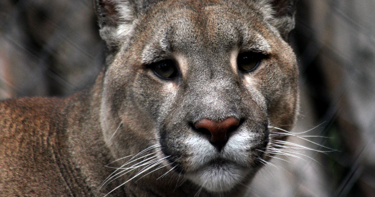 CONTEXTO | Agencia UNO