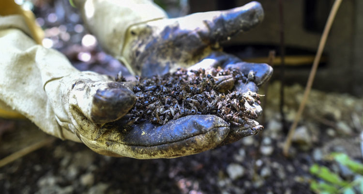 Joaquín Sarmiento | Agence France-Presse