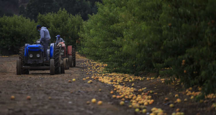 Víctor Pérez | Agencia UNO