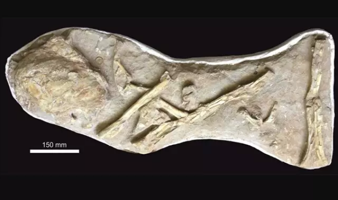 University of Portsmouth

