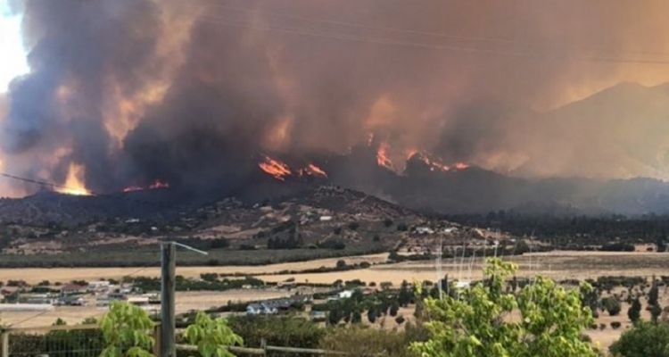 Twitter | @ONGdeChOficial