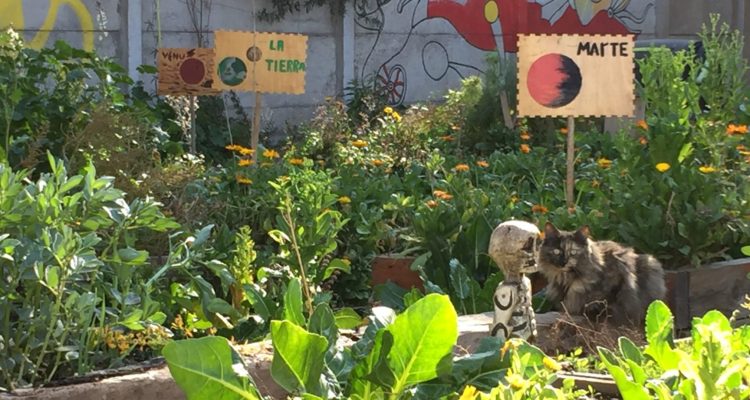 Huerto Comunitario Providencia en Facebook