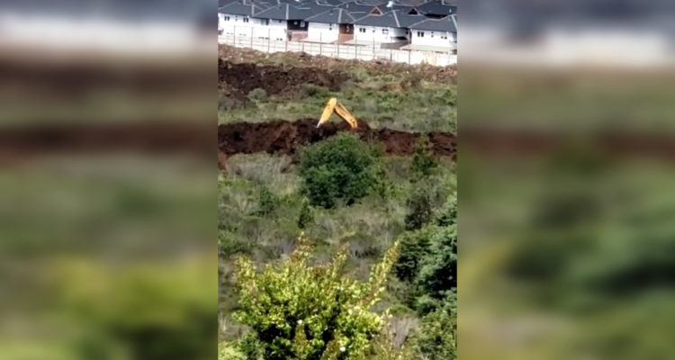 Captura de video