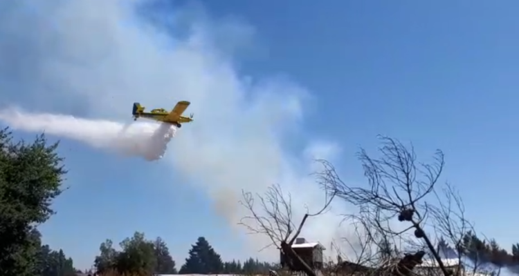 Captura de video