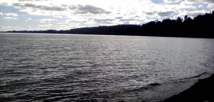 Hans Peter Möller (CC)
