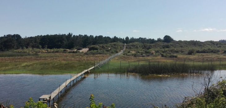 CONTEXTO | RBB | Jazmin Manosalva 