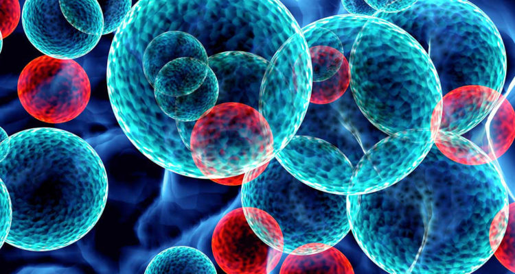 Archivo | atascientific.com.au