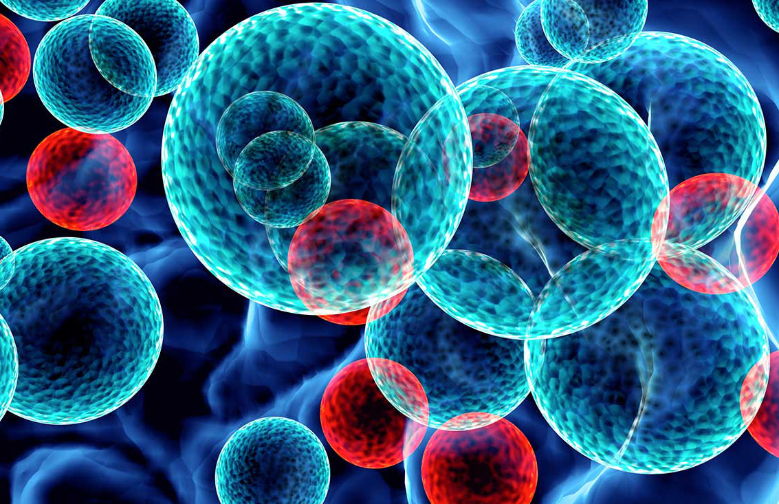 Archivo | atascientific.com.au