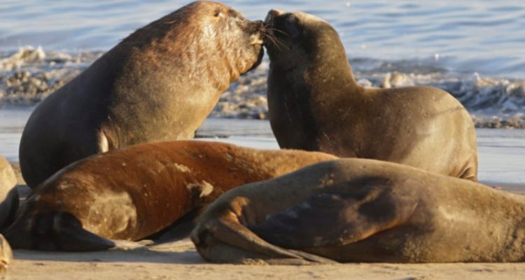 Contexto | Alejandro Zoñez | Agencia UNO 