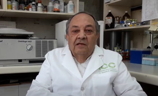 Ricardo Maccioni (Captura de YouTube)