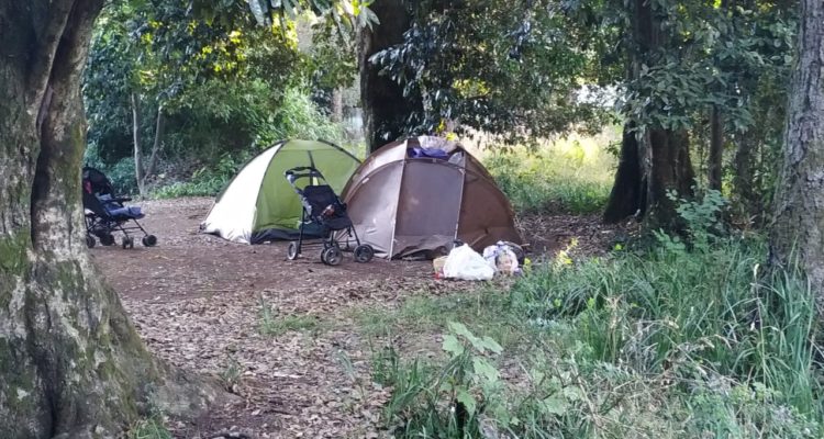 Wladimir Millán (RBB)