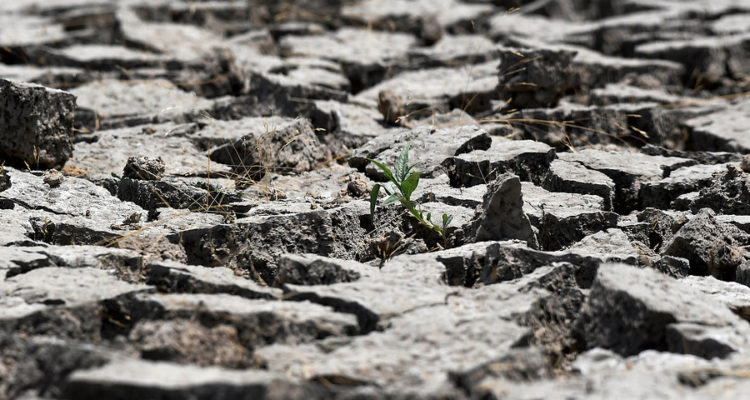 ARCHIVO | Agencia UNO