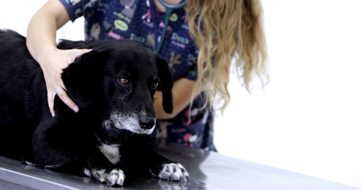 CONTEXTO | Agencia UNO