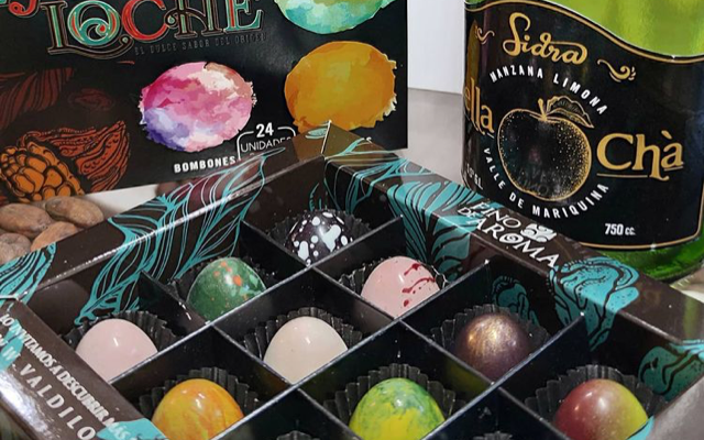 Desafío Levantemos Chile 