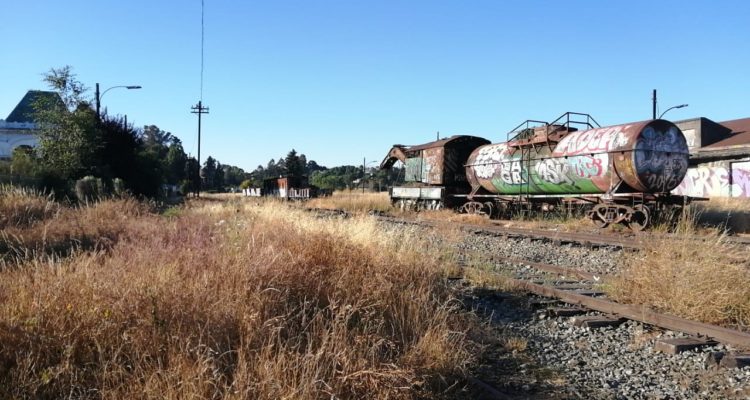 Nicolás Rival | RBB