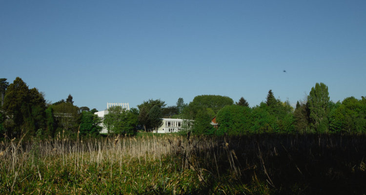 Circuito Cultural Huella – Isla Teja