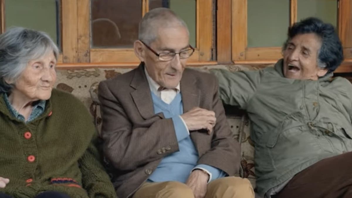 “El agente topo”