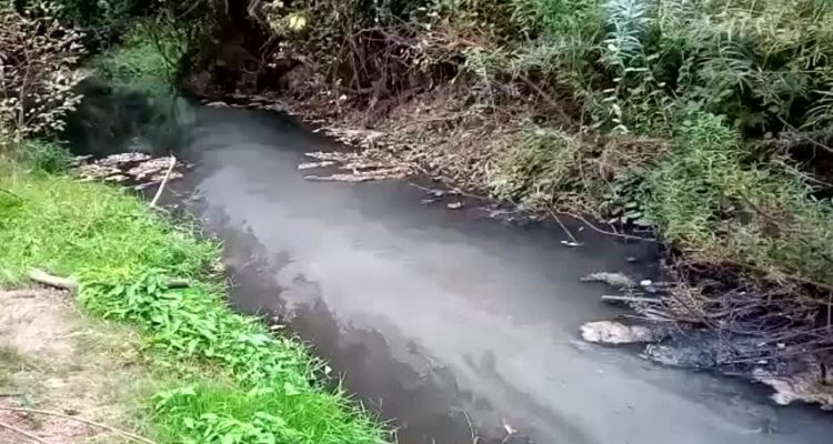 Captura de video | Red Ambiental Ciudadana