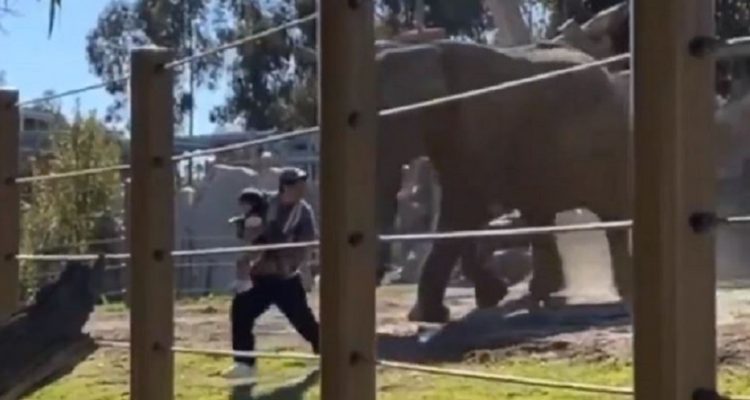 Cassie Carlisle | Twitter