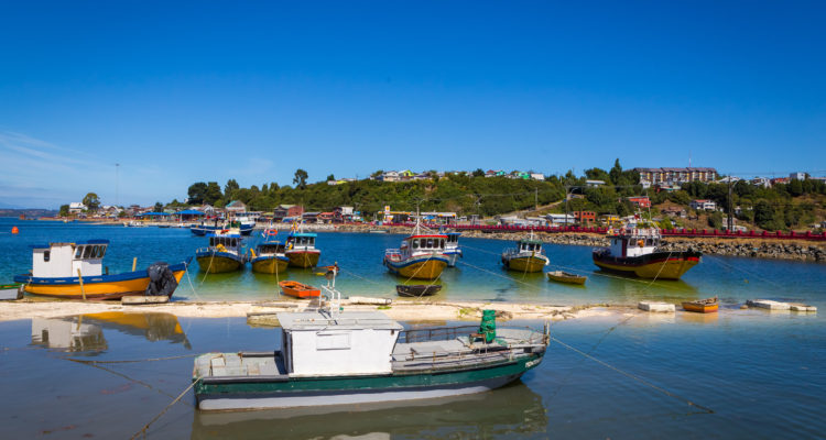 Felipe Constanzo | Agencia UNO