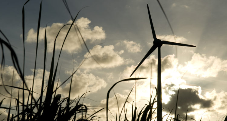 Agencia UNO | Imagen referencial de archivo