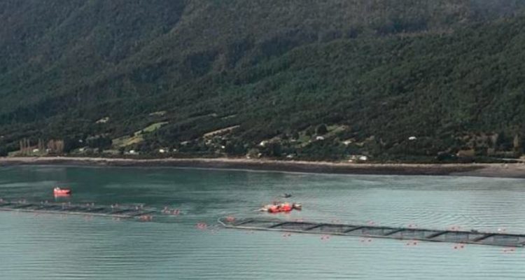 CONTEXTO | Sernapesca