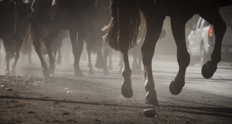 Contexto | Agencia Uno