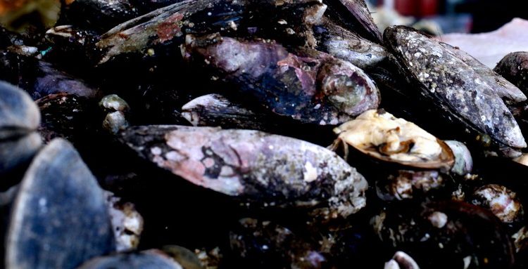 Contexto | Agencia UNO