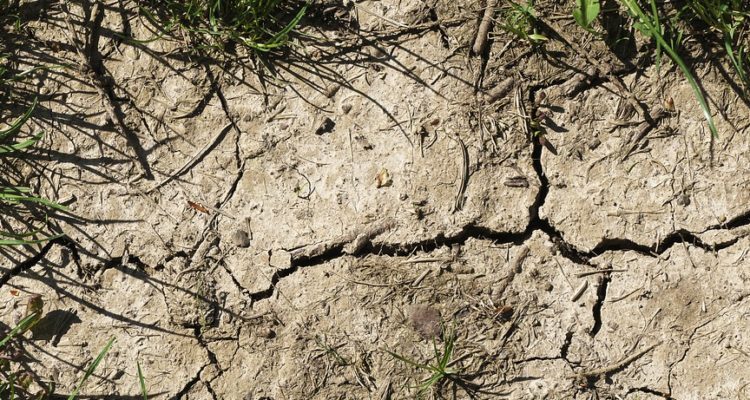 CONTEXTO | Max Pixel