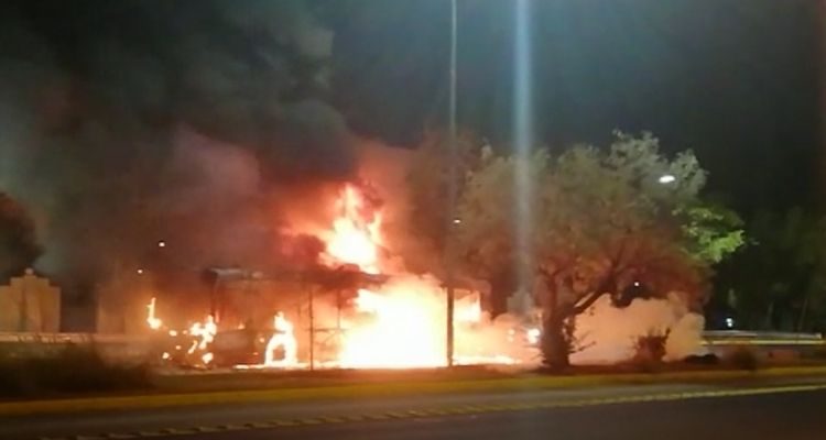 Beatriz Vallejos | RBB