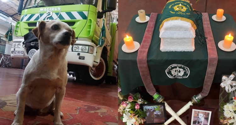 Segunda Compañía de Bomberos de Talagante