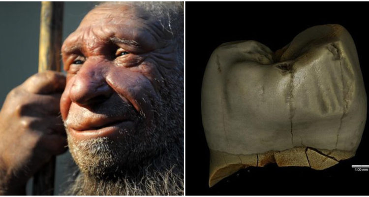 Archivo | Ministerio de Polonia