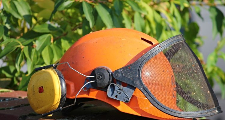 Manfred Richter | Pixabay 