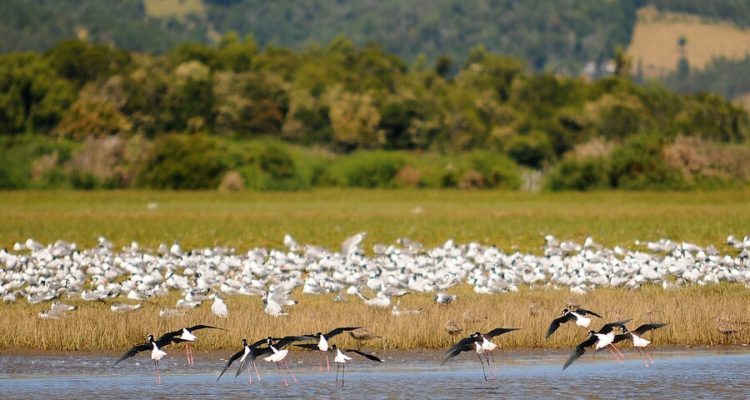 Archivo | Agencia UNO