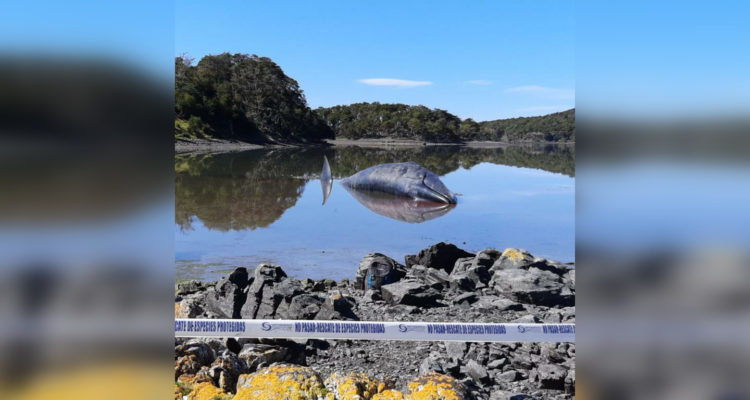 @sernapesca | Twitter