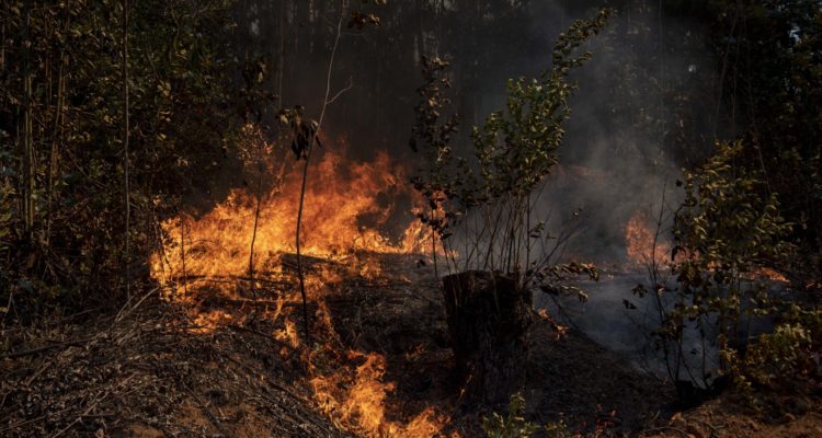 Contexto | Agencia UNO