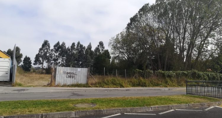 Valeska Belmar | RBB