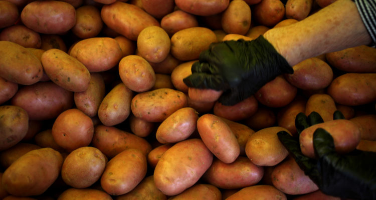 Ailen Díaz | Agencia UNO