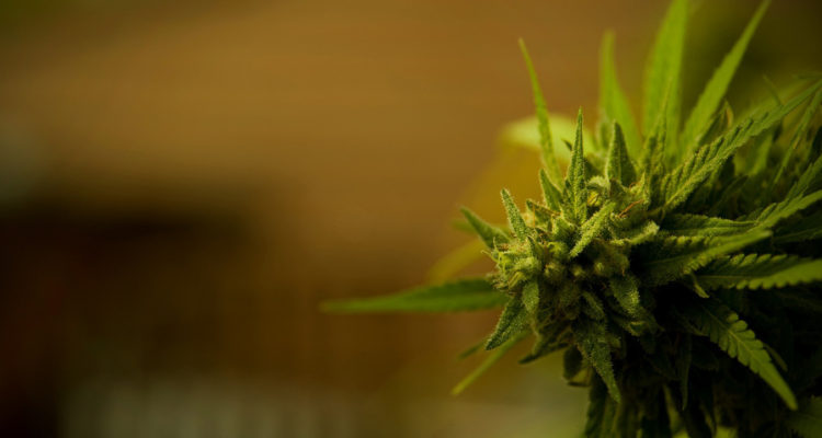 CONTEXTO | Marc Fuyà | Pexels (CCO)
